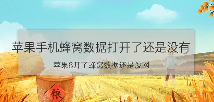 苹果手机蜂窝数据打开了还是没有 苹果8开了蜂窝数据还是没网？